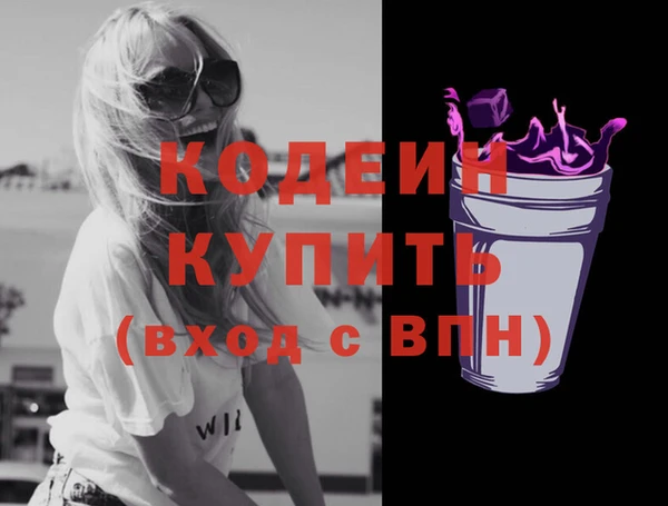 шишки Дегтярск
