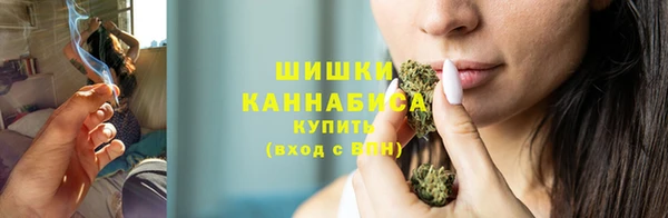 шишки Дегтярск