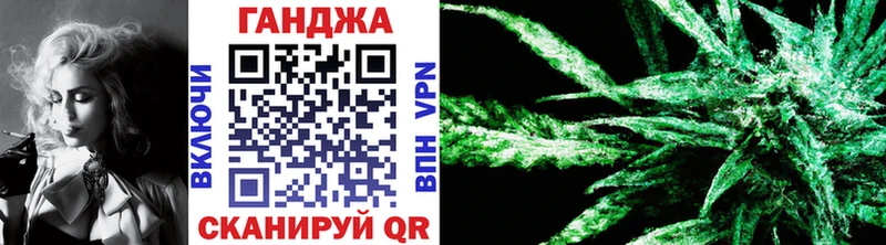 Каннабис OG Kush  Болотное 